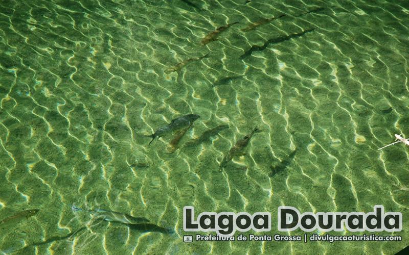 Lagoa Dourada no Parque Vila Velha em Ponta Grossa - divulgacaoturistica.com