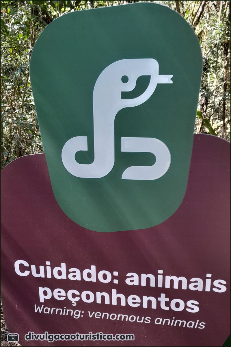 Lagoa Dourada no Parque Vila Velha em Ponta Grossa - divulgacaoturistica.com