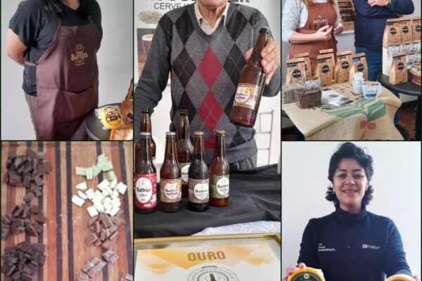 Palmeira nos Campos Gerais do Paraná : rota gastronômica com queijos, cervejas, chocolates e cafés artesanais