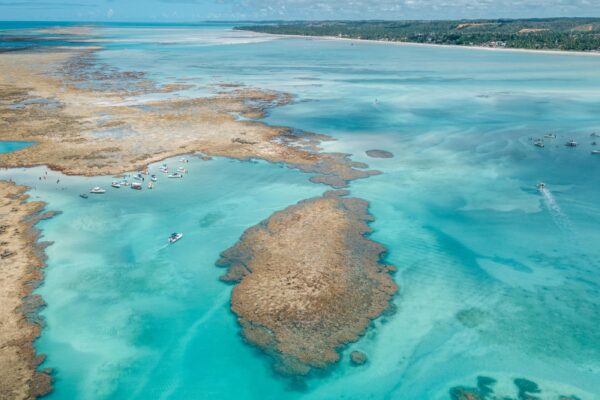 Destino dos sonhos: Maragogi se consolida como um dos destinos mais procurados por turistas brasileiros