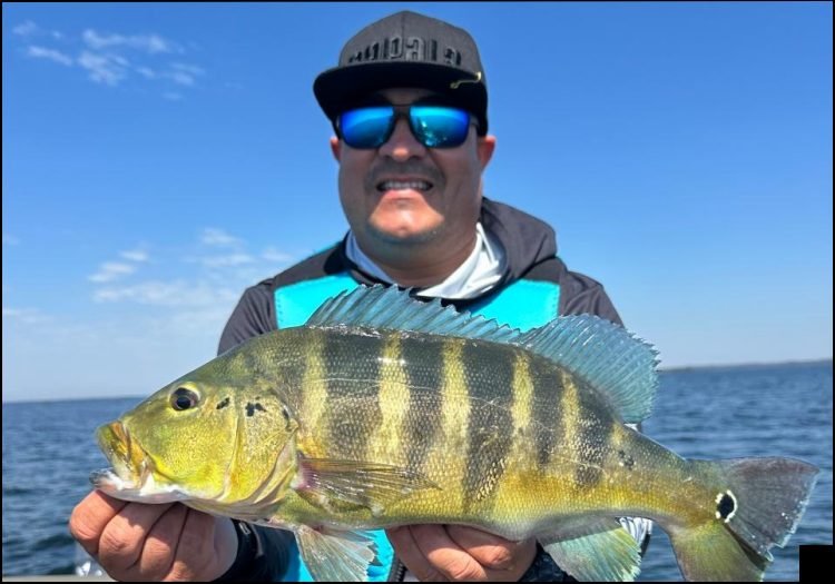 Pesca esportiva no balneário turístico Porto Camargo em Icaraíma / PR